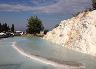 Kültür ve Sanatta Canlanış