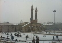 Antalya’yı Antalya Yapan Ekosistemler